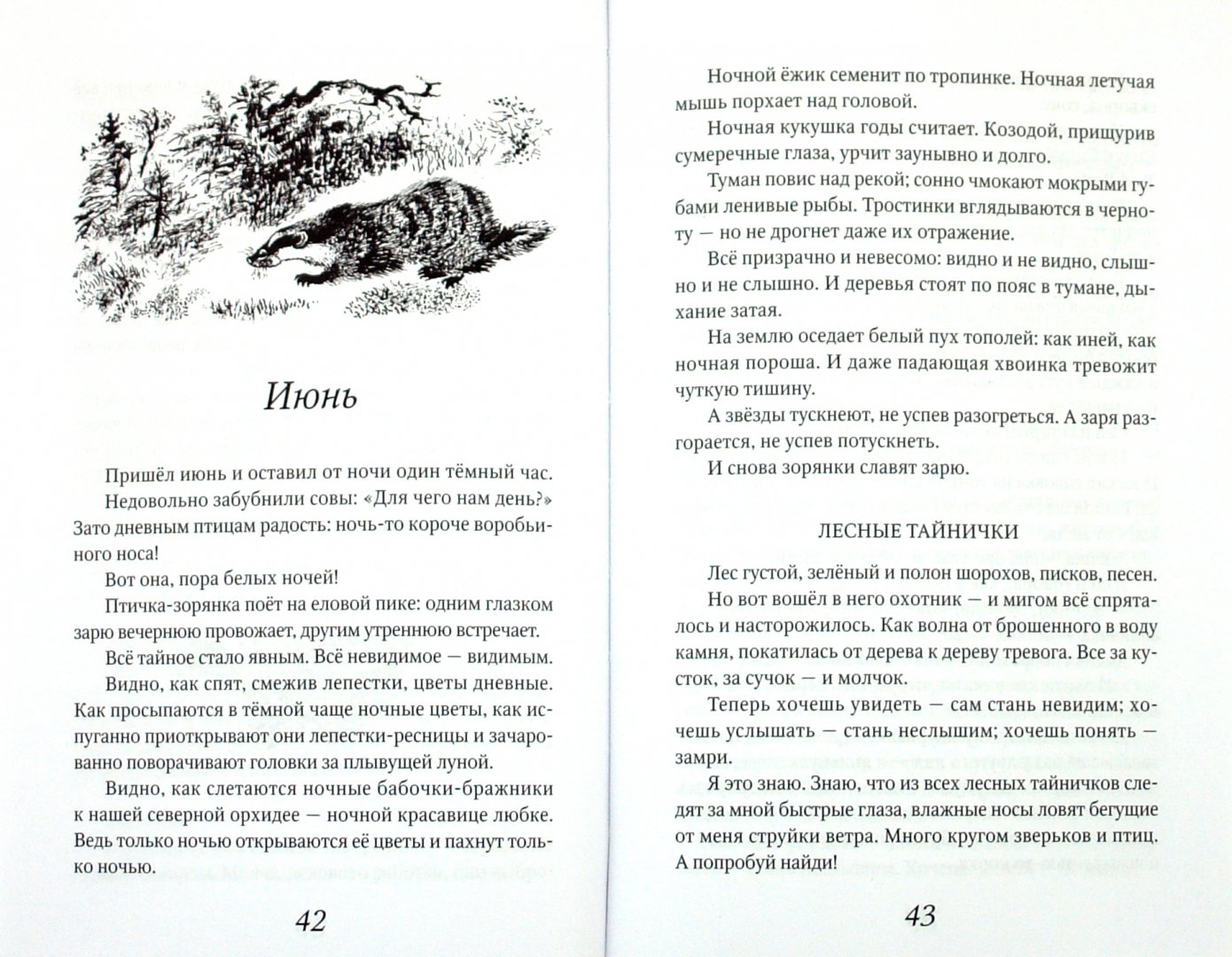 Иллюстрация 1 из 5 для Лесные тайнички - Николай Сладков | Лабиринт - книги. Источник: Лабиринт