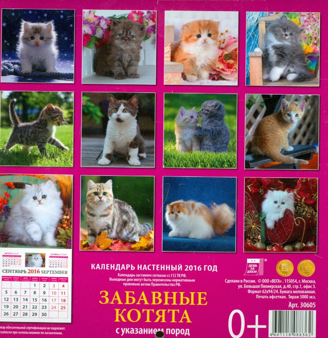 Иллюстрация 2 из 13 для Календарь настенный на 2016 год "Забавные котята" (30605) | Лабиринт - сувениры. Источник: Лабиринт