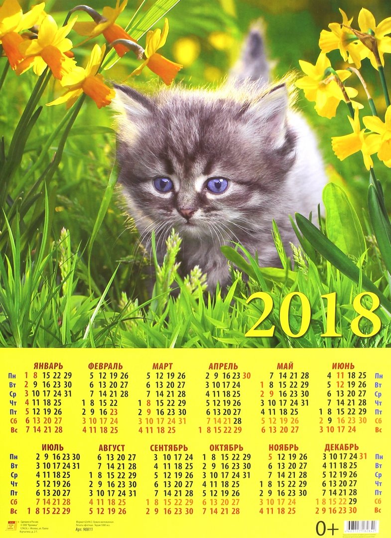Иллюстрация 1 из 3 для 2018 Календарь Котенок в траве (90811) | Лабиринт - сувениры. Источник: Лабиринт