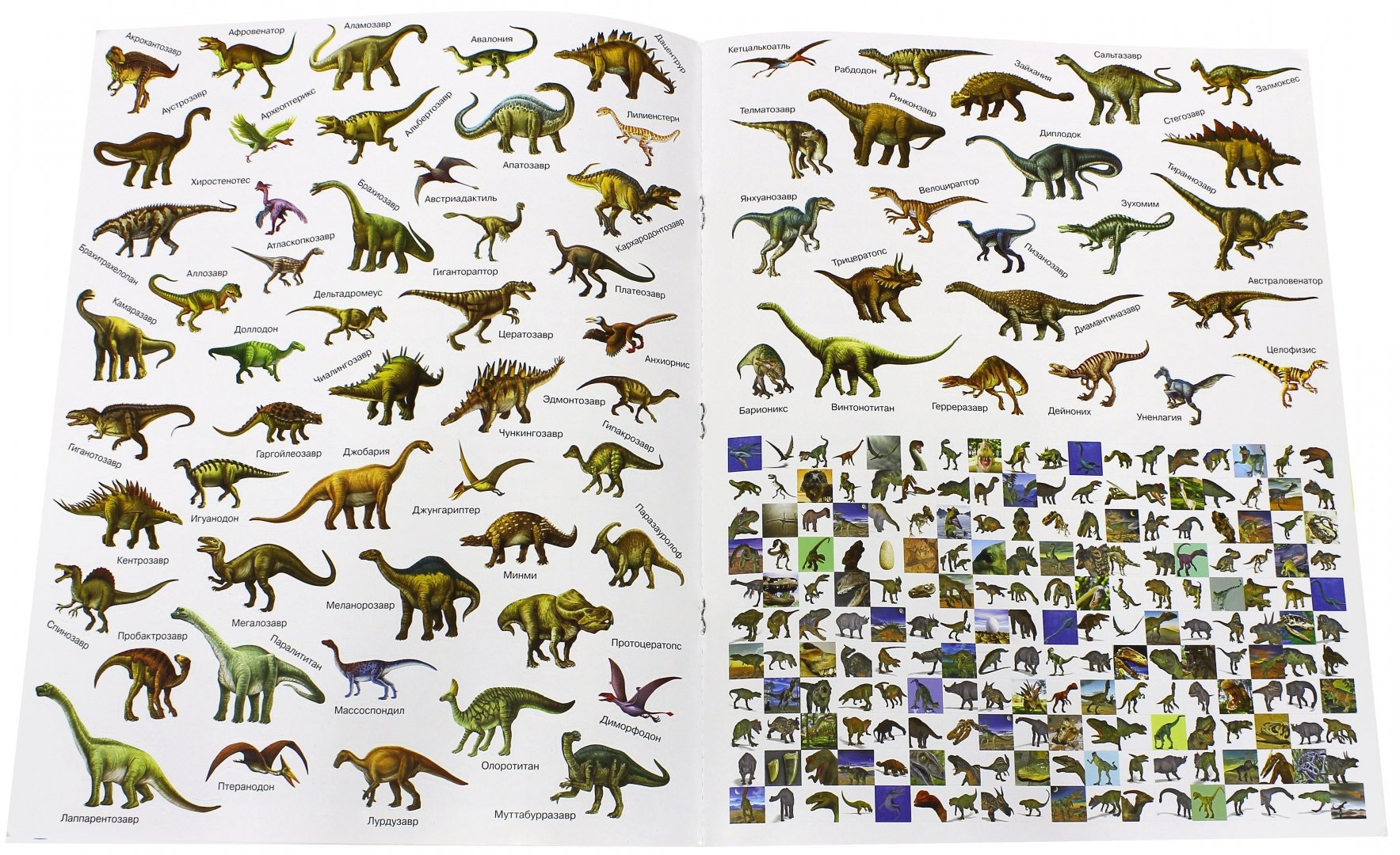 Иллюстрация 2 из 8 для Наша планета. Динозавры - Софья Стефанович | Лабиринт - книги. Источник: Лабиринт