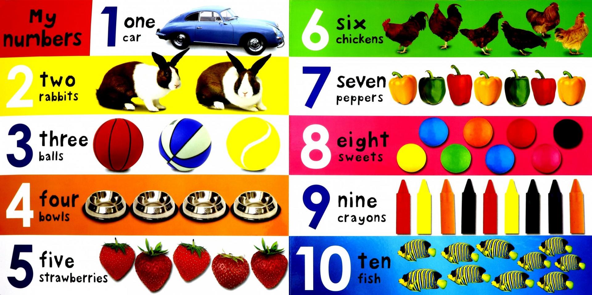 Иллюстрация 1 из 14 для Colours, ABC, Numbers (board book) | Лабиринт - книги. Источник: Лабиринт
