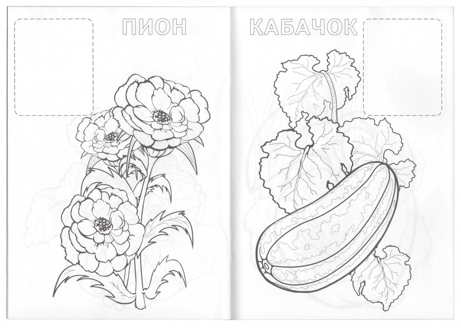 Иллюстрация 1 из 4 для Растения | Лабиринт - книги. Источник: Лабиринт