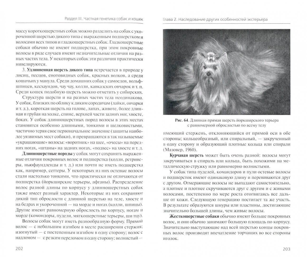 Иллюстрация 1 из 8 для Генетика и наследственные болезни собак и кошек - Сотская, Московкина | Лабиринт - книги. Источник: Лабиринт