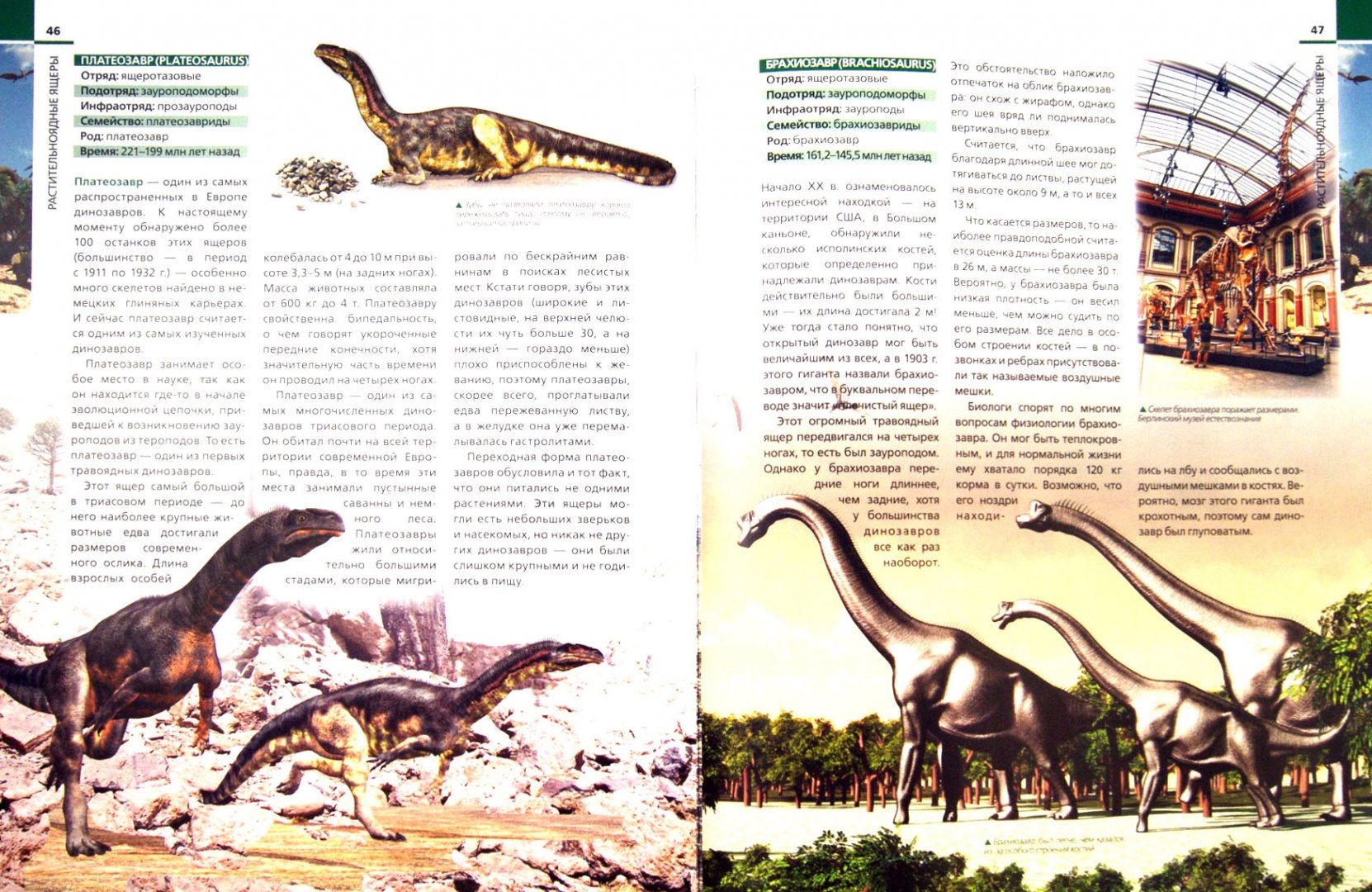 Иллюстрация 1 из 23 для Динозавры: иллюстрированный путеводитель - Антон Малютин | Лабиринт - книги. Источник: Лабиринт