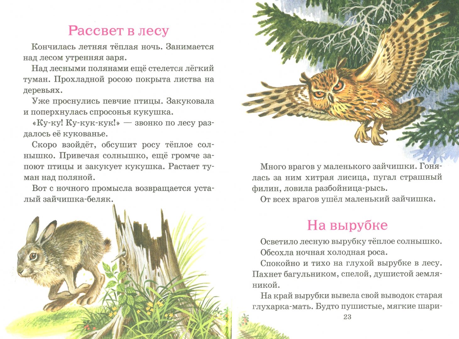 Иллюстрация 3 из 38 для Рассказы о природе - Иван Соколов-Микитов | Лабиринт - книги. Источник: Лабиринт