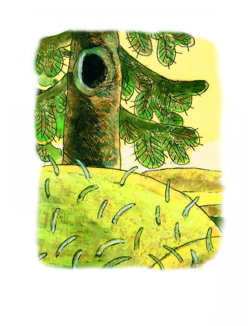 Иллюстрация 6 из 57 для Ёжик в тумане. Сказки - Сергей Козлов | Лабиринт - книги. Источник: Лабиринт