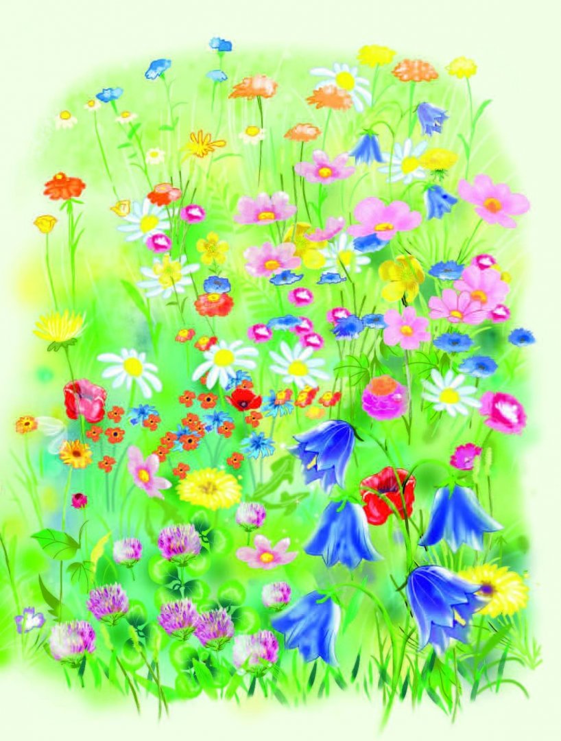 Иллюстрация 10 из 18 для Приключения цветочных фей | Лабиринт - книги. Источник: Лабиринт