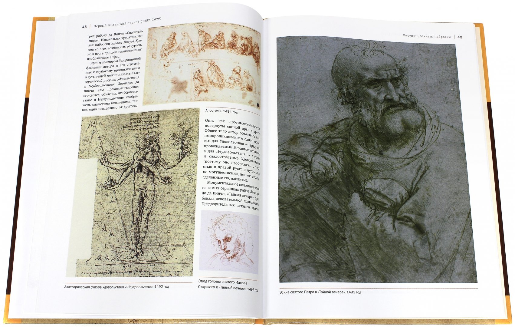 Иллюстрация 1 из 23 для Леонардо да Винчи - Андрей Борисюк | Лабиринт - книги. Источник: Лабиринт
