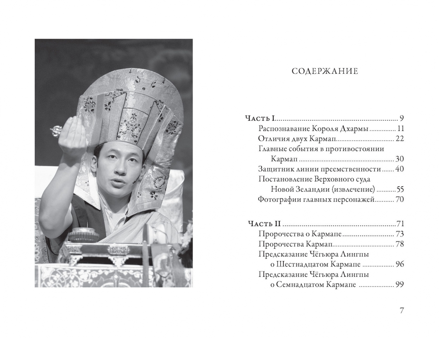 Иллюстрация 1 из 8 для Кто настоящий Кармапа. Необычное журналистское расследование - Лей, Вон | Лабиринт - книги. Источник: Лабиринт