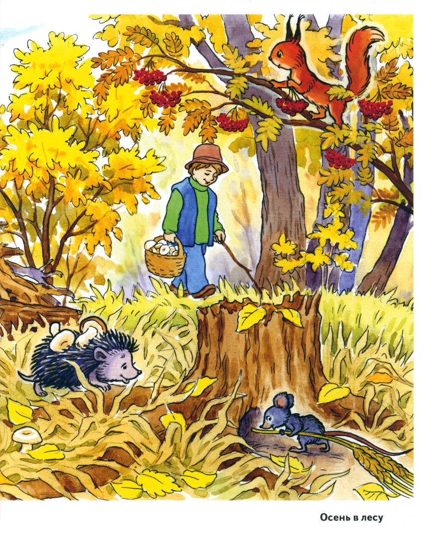 Иллюстрация 2 из 28 для Осень в картинках. Наглядное пособие для педагогов, логопедов, воспитателей и родителей | Лабиринт - книги. Источник: Лабиринт