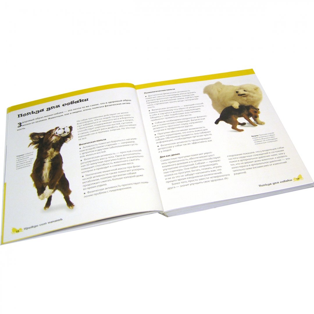Иллюстрация 6 из 10 для Фитнес с собакой. Практическое руководство для собак и их хозяев - Карен Салливан | Лабиринт - книги. Источник: Лабиринт