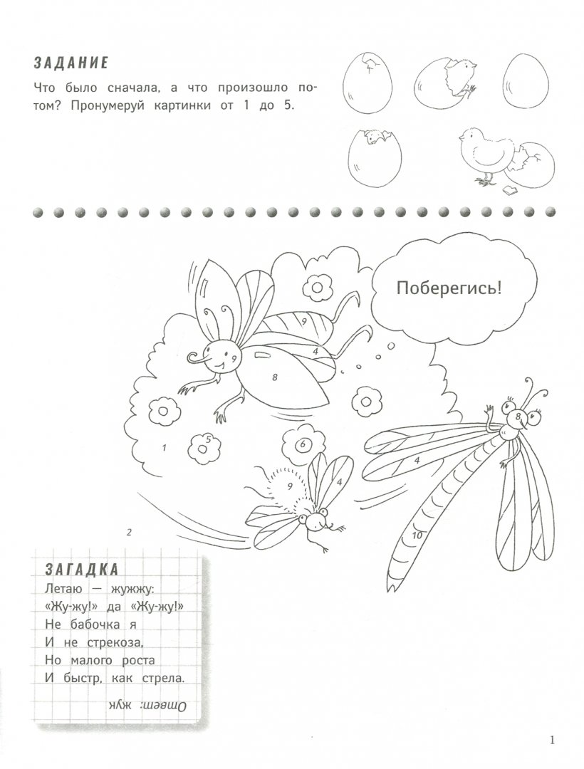 Иллюстрация 1 из 21 для Жучки и букашки. Книжка-раскраска - Евгения Бахурова | Лабиринт - книги. Источник: Лабиринт