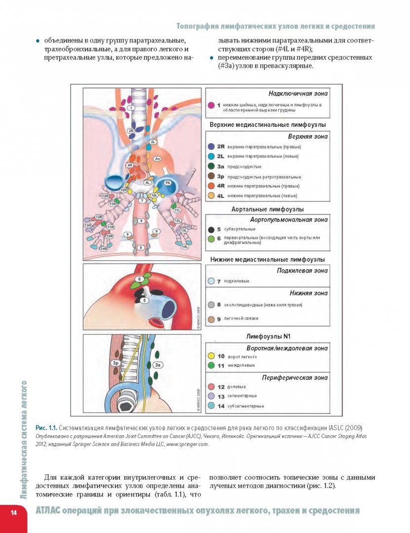 Иллюстрация 8 из 12 для Атлас операций при злокачественных опухолях легкого, трахеи и средостения - Трахтенберг, Колбанов, Пикин | Лабиринт - книги. Источник: Лабиринт