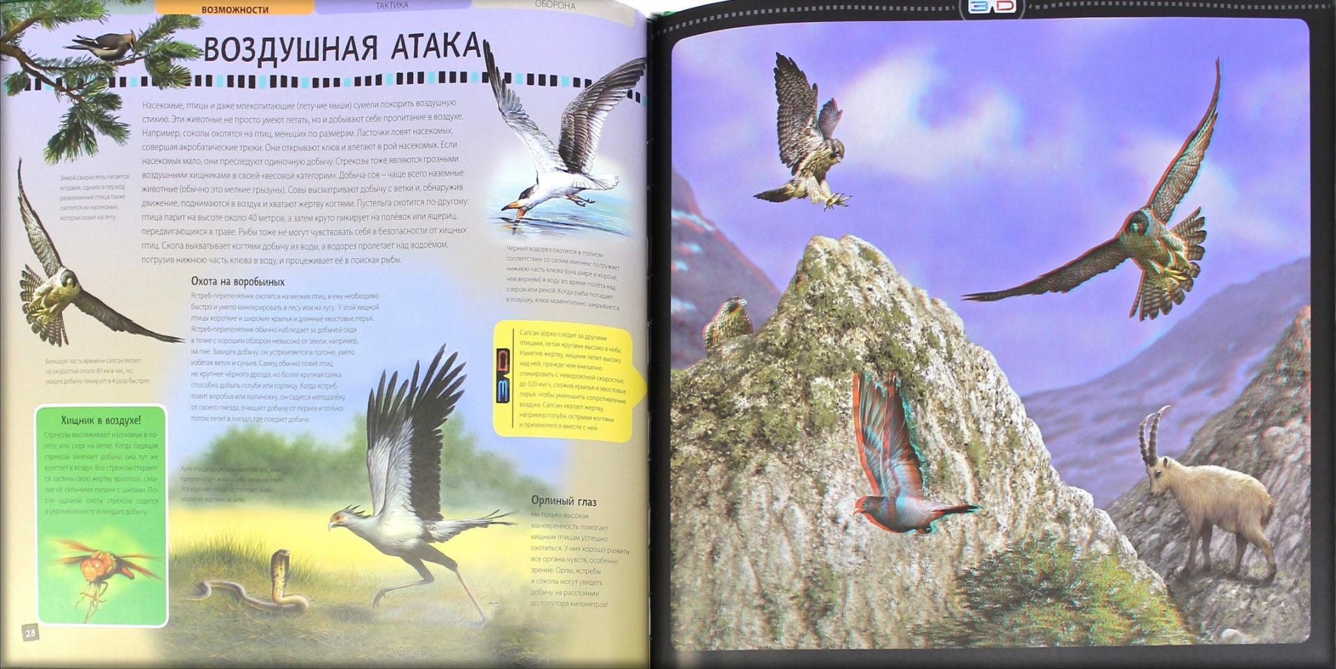 Иллюстрация 2 из 2 для Мир животных в 3D со стереочками (5 книг в футляре) - Баголи, Шел | Лабиринт - книги. Источник: Лабиринт
