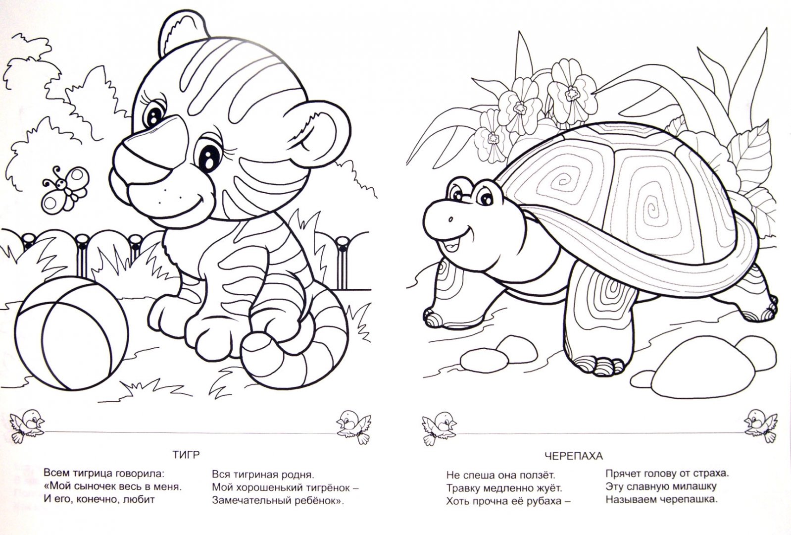 Иллюстрация 1 из 18 для Встреча в зоопарке - Наталья Мигунова | Лабиринт - книги. Источник: Лабиринт