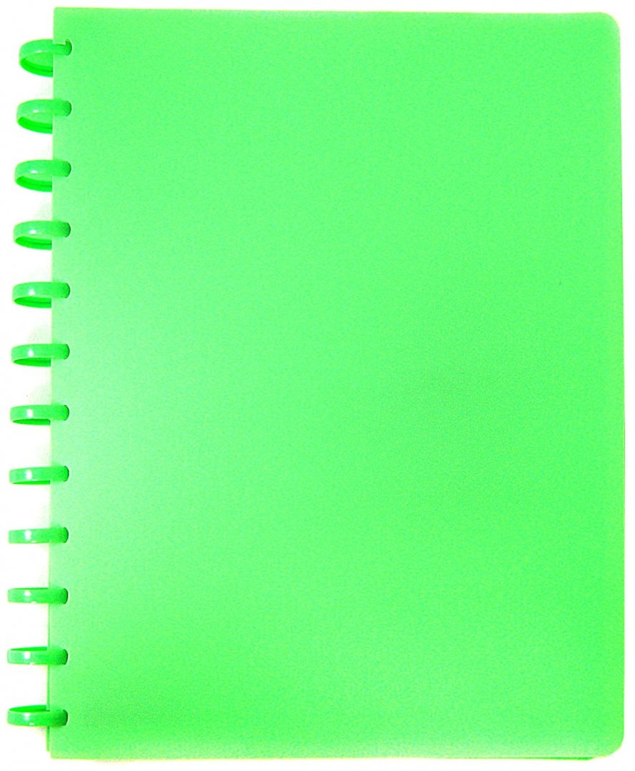 Иллюстрация 1 из 2 для Папка на кольцах. 20 файлов. Цвет: зеленый (CY20MG-G) | Лабиринт - канцтовы. Источник: Лабиринт
