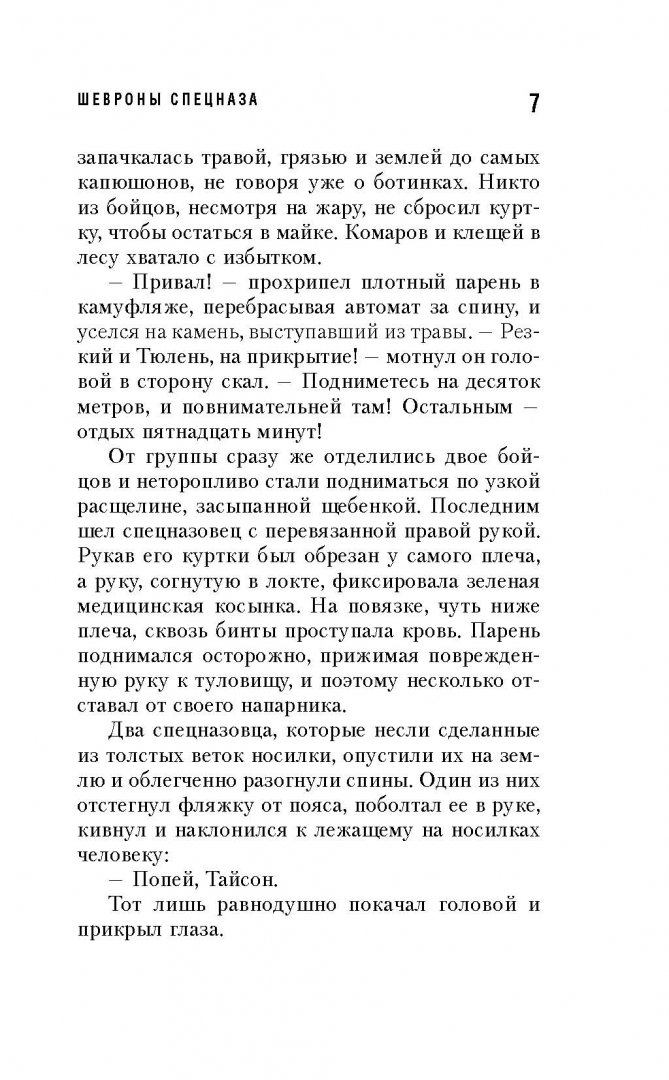 Иллюстрация 5 из 11 для Шевроны спецназа - Сергей Зверев | Лабиринт - книги. Источник: Лабиринт