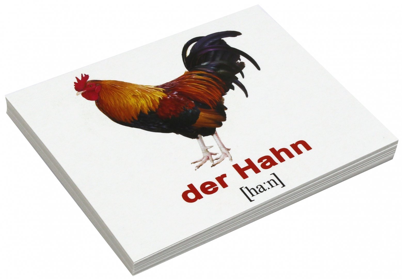 Иллюстрация 1 из 2 для Комплект карточек Мини-20 "Haustiere / Домашние животные" (немецкий язык) - Носова, Епанова | Лабиринт - книги. Источник: Лабиринт