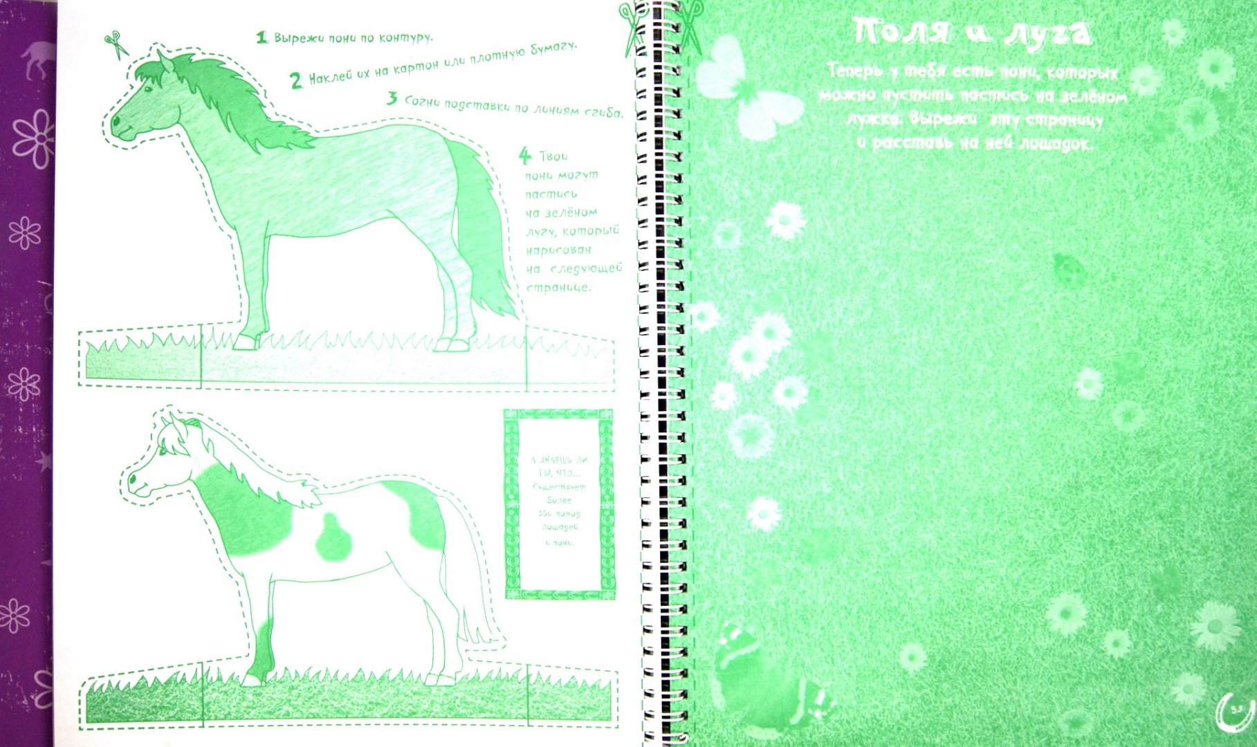 Иллюстрация 1 из 29 для Лошади и пони. Большая книга для творчества - Андреа Пиннингтон | Лабиринт - книги. Источник: Лабиринт