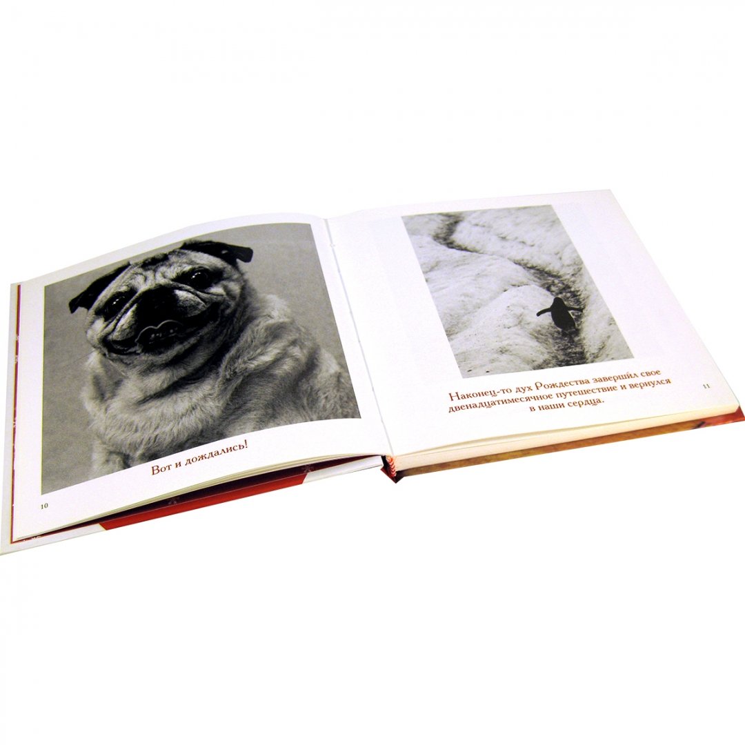 Иллюстрация 1 из 25 для Комплект из 6 подарочных книг Б.Т.Грива (в переплете) - Бредли Грив | Лабиринт - книги. Источник: Лабиринт