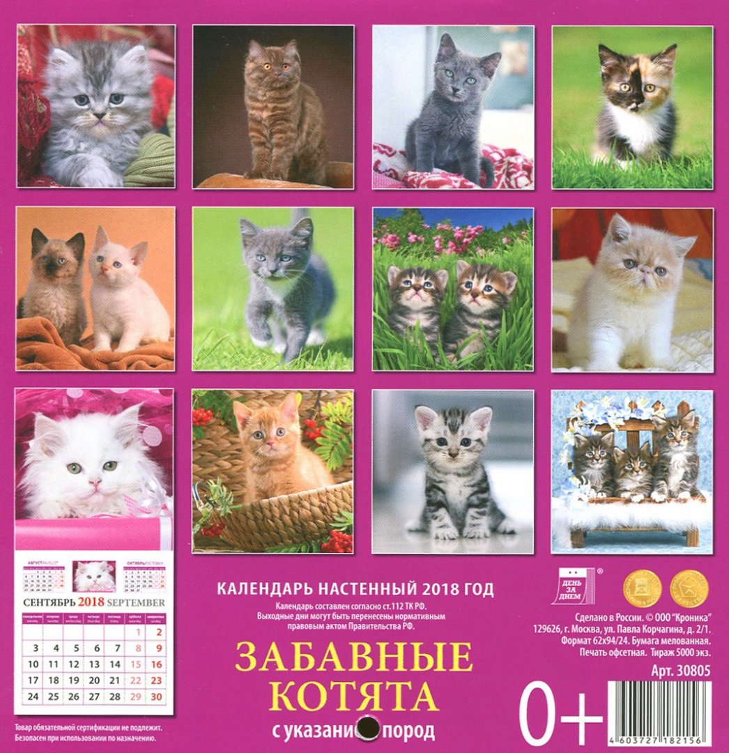 Иллюстрация 1 из 16 для Календарь настенный на 2018 год "Забавные котята" (30805) | Лабиринт - сувениры. Источник: Лабиринт