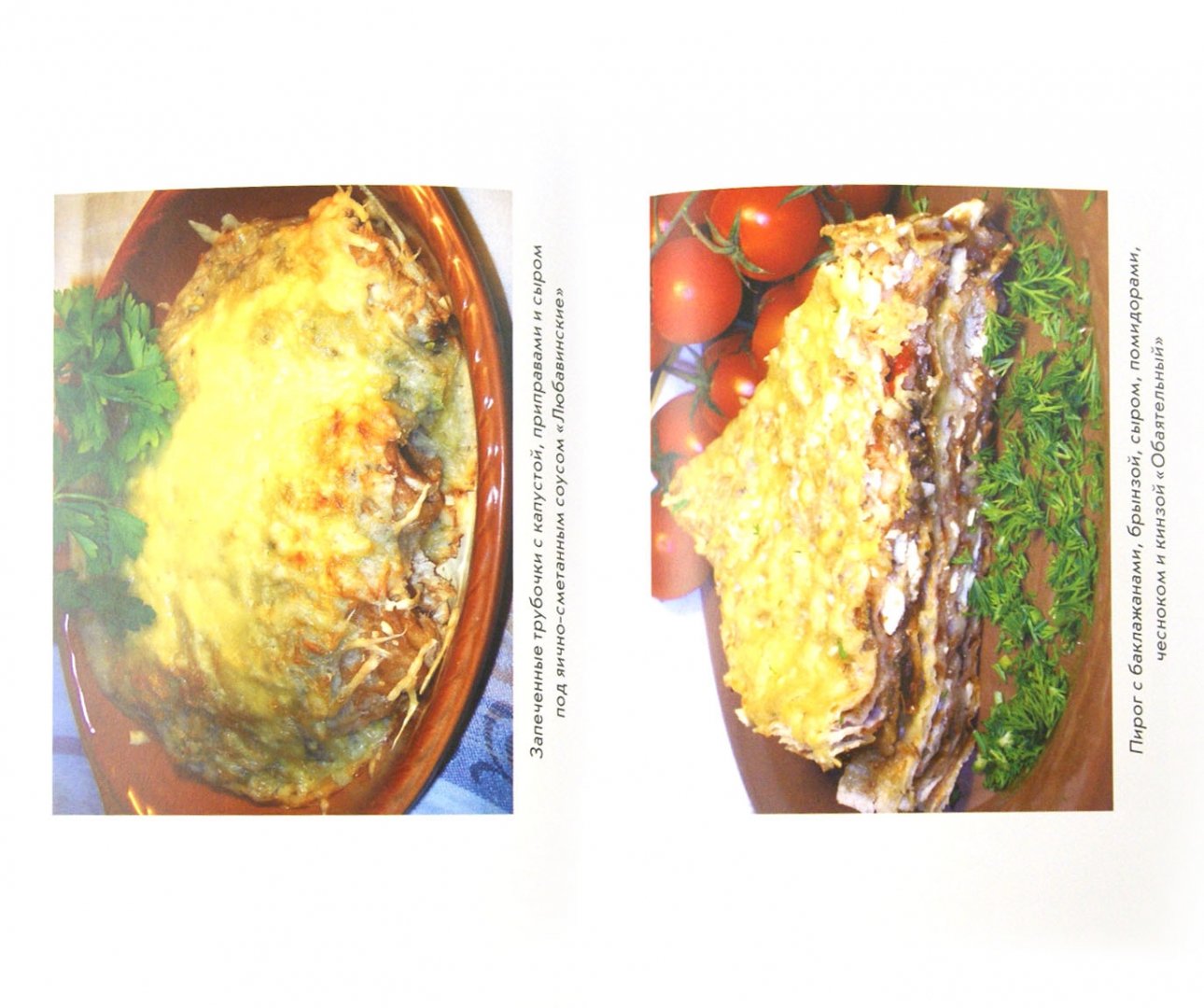 Иллюстрация 1 из 7 для Блюда из лаваша и готового теста - Гера Треер | Лабиринт - книги. Источник: Лабиринт