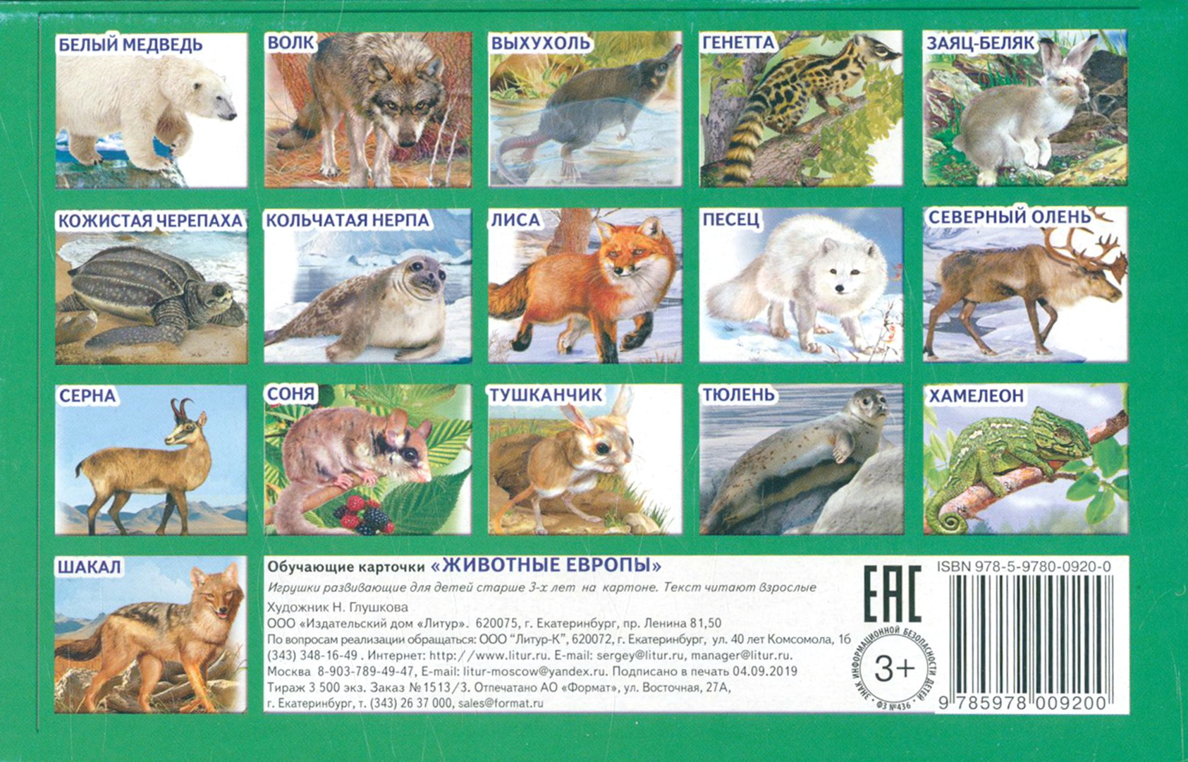 Иллюстрация 1 из 20 для Карточки. Животные Европы | Лабиринт - книги. Источник: Лабиринт
