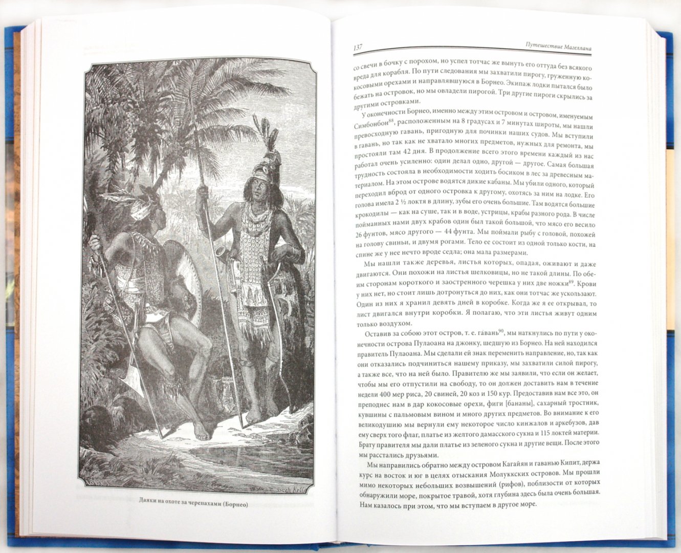 Иллюстрация 1 из 39 для Путешествие Магеллана - Антонио Пигафетта | Лабиринт - книги. Источник: Лабиринт