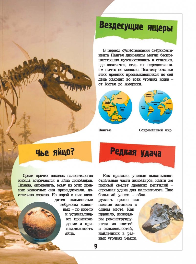 Иллюстрация 4 из 32 для Динозаврология - Хомич, Ликсо | Лабиринт - книги. Источник: Лабиринт