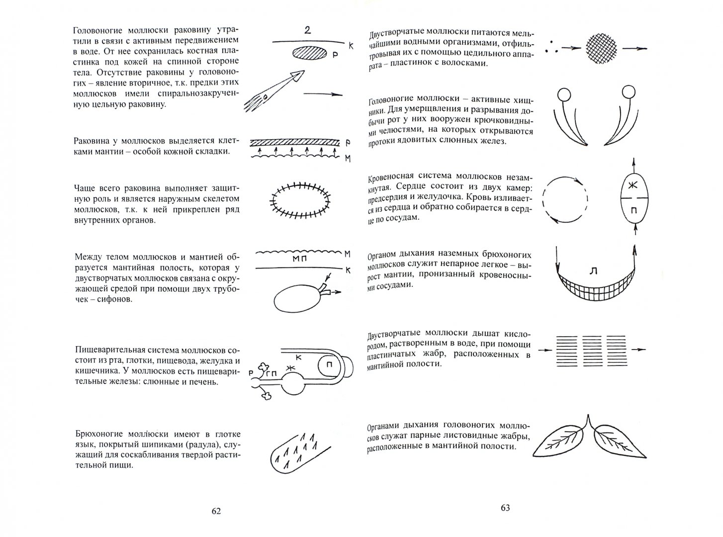 Иллюстрация 1 из 20 для Знаково-символическая система в обучении биологии - Александр Теремов | Лабиринт - книги. Источник: Лабиринт