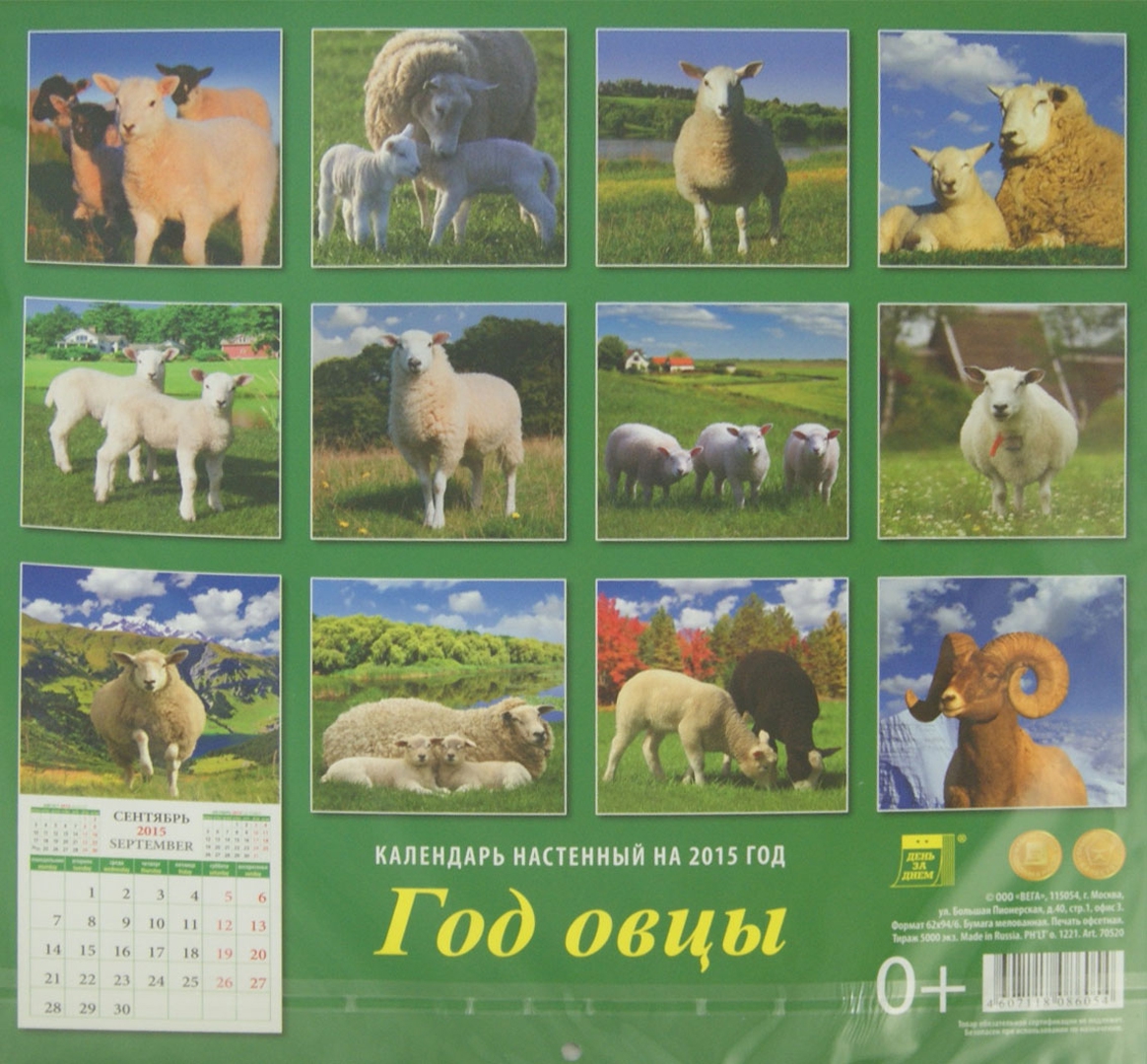 2015 года барана. Календарь год овцы. 2015 Год овцы. Овца 2015. Календарики на 2015 год овца.