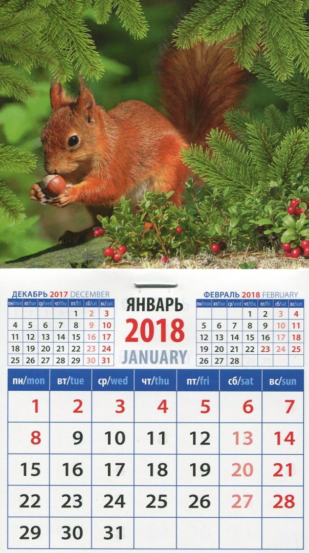 Иллюстрация 1 из 3 для 2018 Календарь "Белка с орехом" (20817) | Лабиринт - сувениры. Источник: Лабиринт