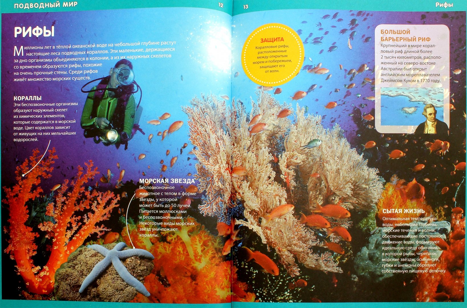 Иллюстрация 1 из 5 для Этот удивительный подводный мир | Лабиринт - книги. Источник: Лабиринт