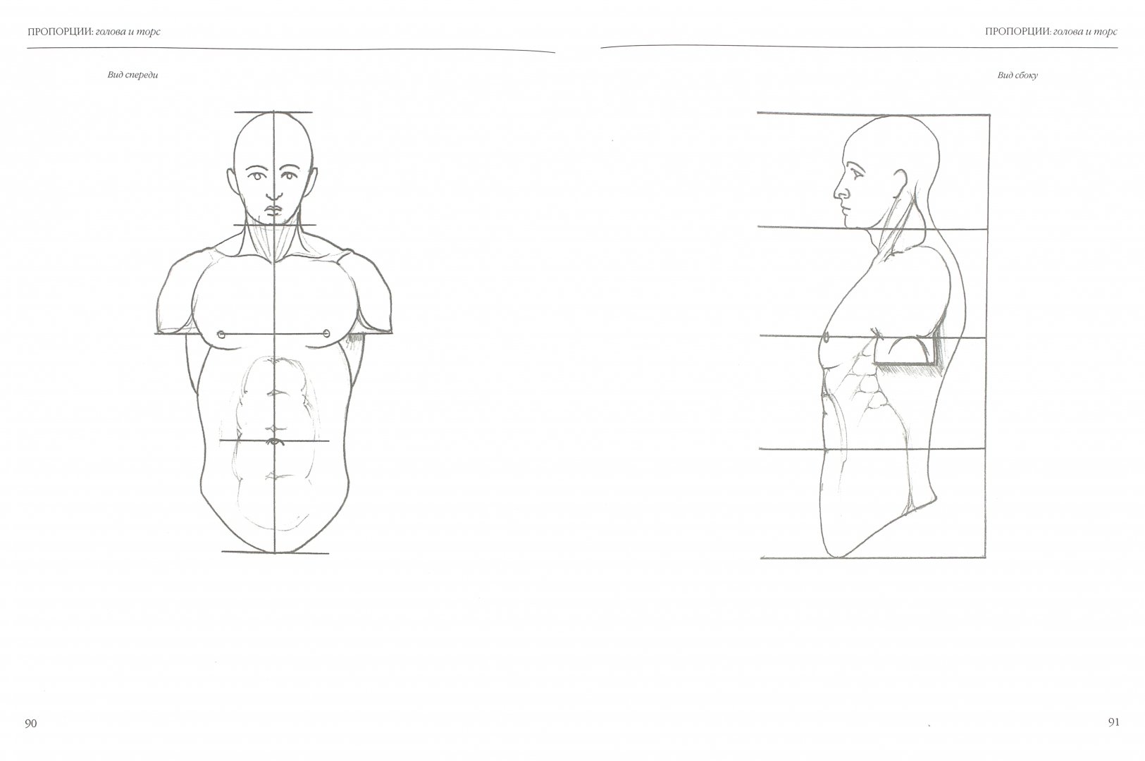 Иллюстрация 1 из 9 для Анатомия для художников. Фигура человека в движении - Том Флинт | Лабиринт - книги. Источник: Лабиринт