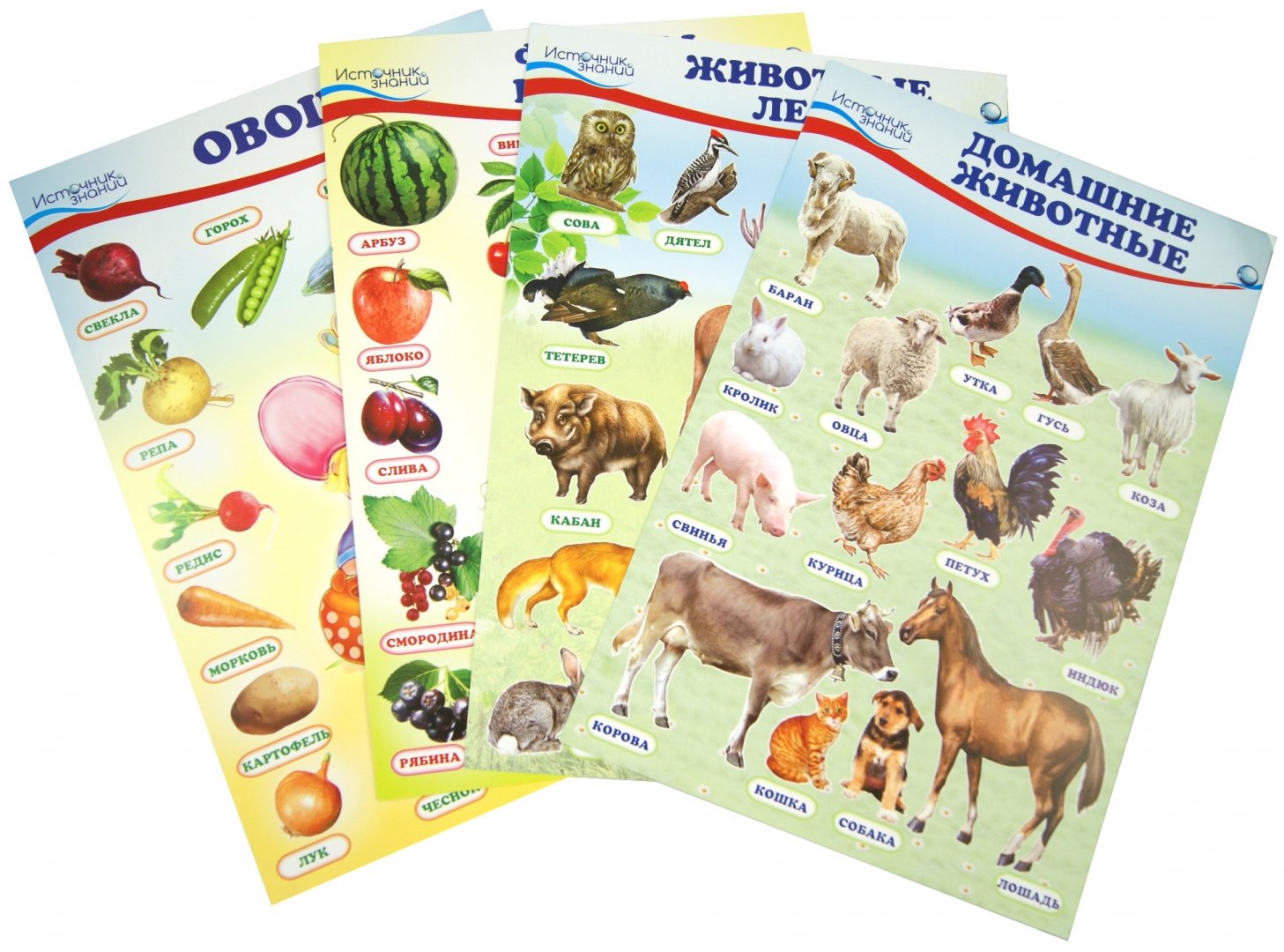 Иллюстрация 1 из 30 для Комплект познавательных мини-плакатов "Домашние, лесные животные, фрукты и ягоды, овощи" | Лабиринт - книги. Источник: Лабиринт
