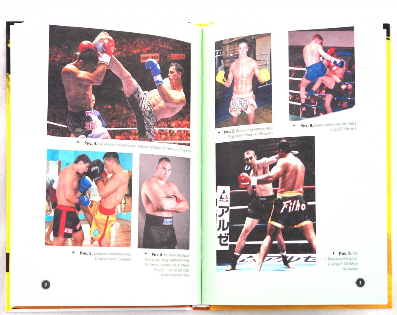 Иллюстрация 1 из 13 для Тайский бокс. Уроки профессионала  (+DVD) - Александр Ковтик | Лабиринт - книги. Источник: Лабиринт