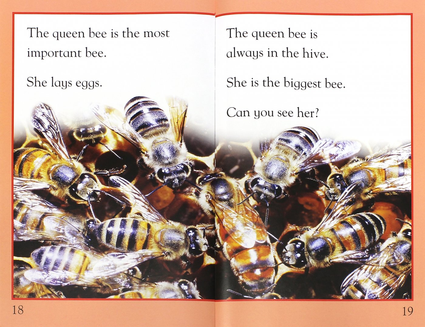Иллюстрация 1 из 7 для Mac Fact Read. Busy as a Bee - Louise Caroll | Лабиринт - книги. Источник: Лабиринт