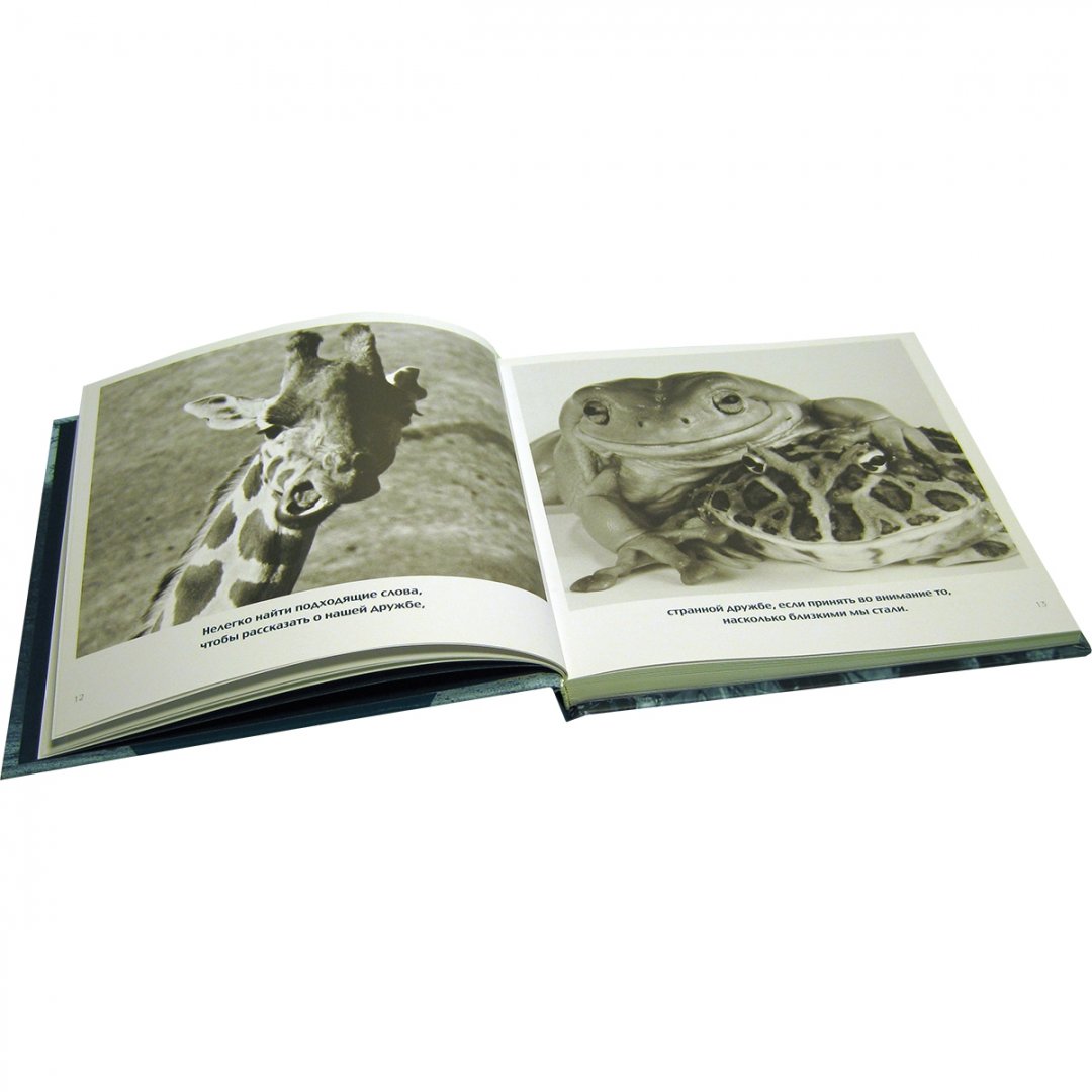 Иллюстрация 5 из 25 для Комплект из 6 подарочных книг Б.Т.Грива (в переплете) - Бредли Грив | Лабиринт - книги. Источник: Лабиринт