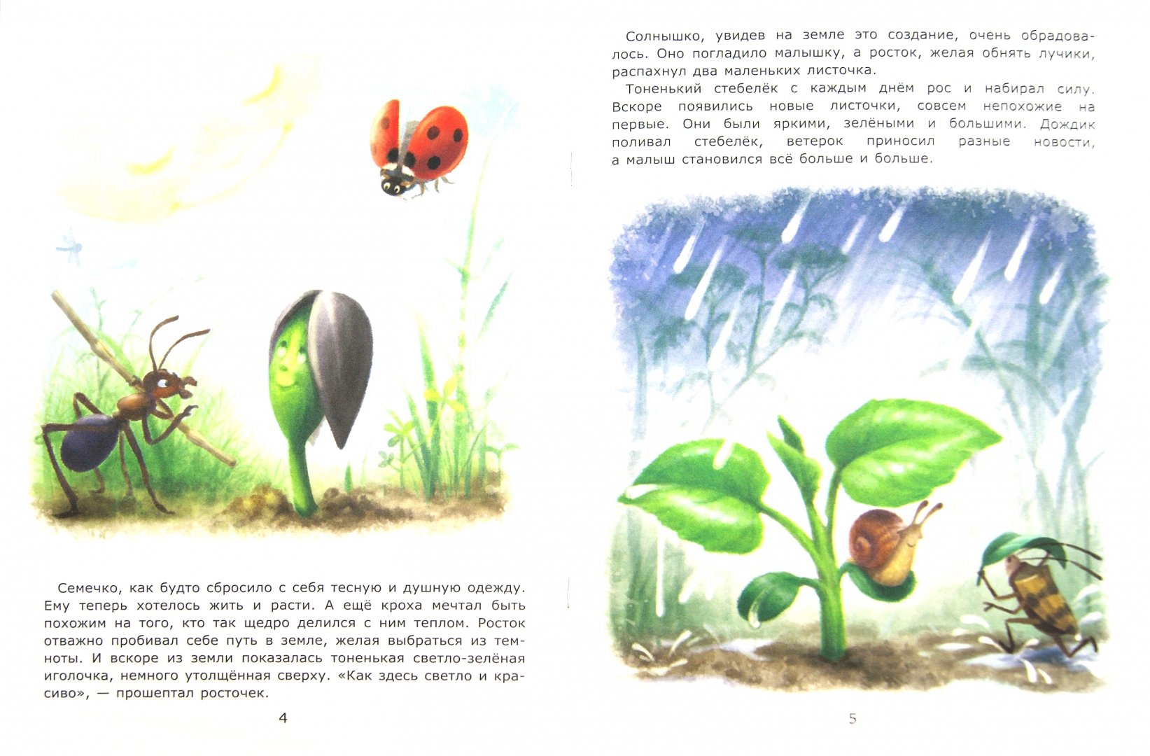 Иллюстрация 1 из 21 для Подсолнух - Лариса Тарасенко | Лабиринт - книги. Источник: Лабиринт