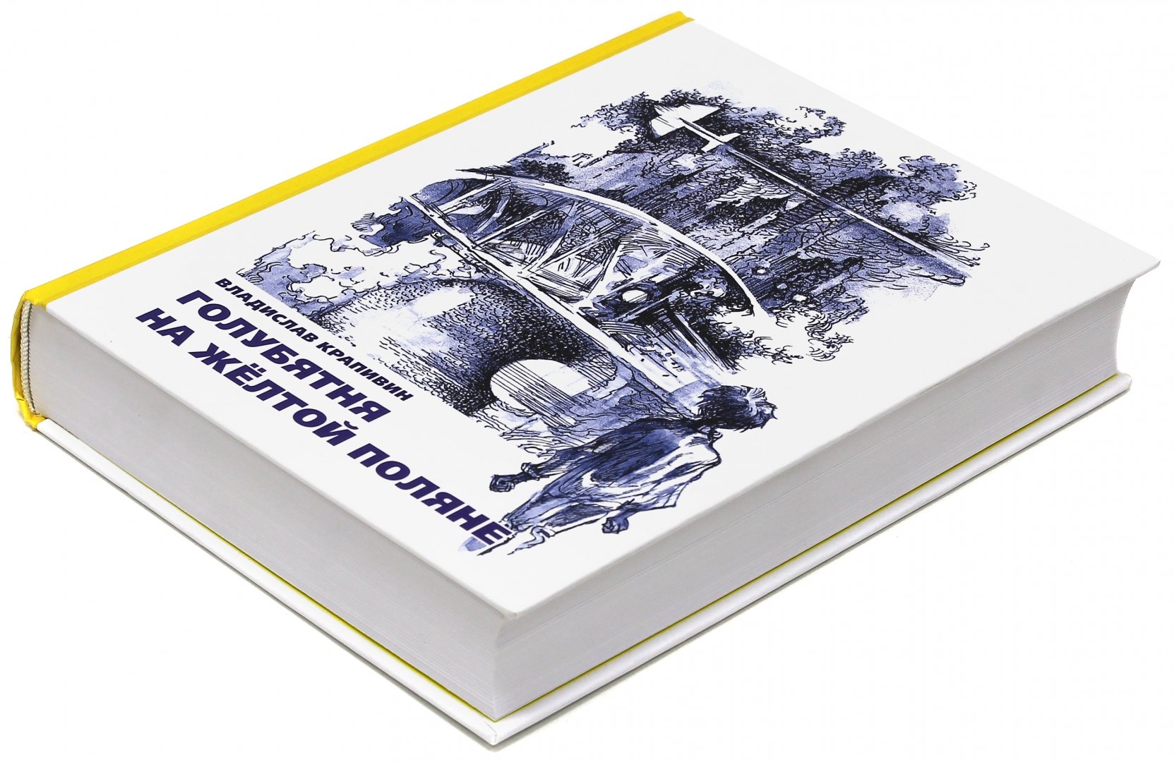 Иллюстрация 5 из 31 для Голубятня на жёлтой поляне - Владислав Крапивин | Лабиринт - книги. Источник: Лабиринт
