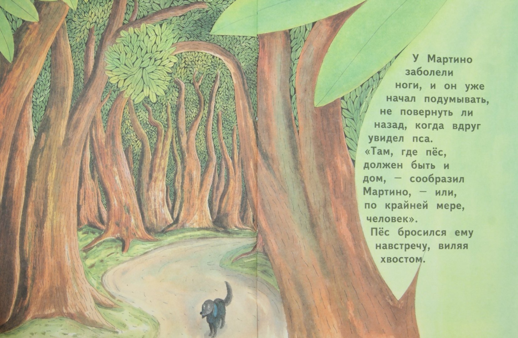 Иллюстрация 1 из 40 для Дорога в никуда - Джанни Родари | Лабиринт - книги. Источник: Лабиринт