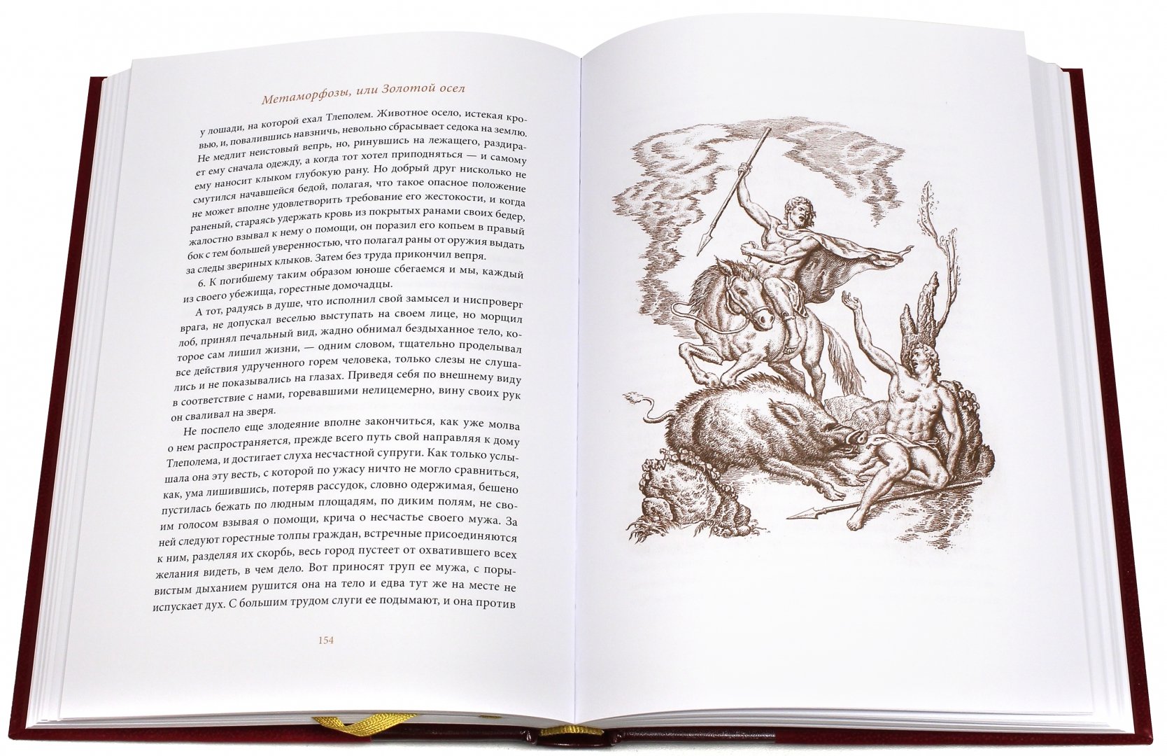 Иллюстрация 1 из 32 для Метаморфозы, или Золотой осел - Апулей | Лабиринт - книги. Источник: Лабиринт