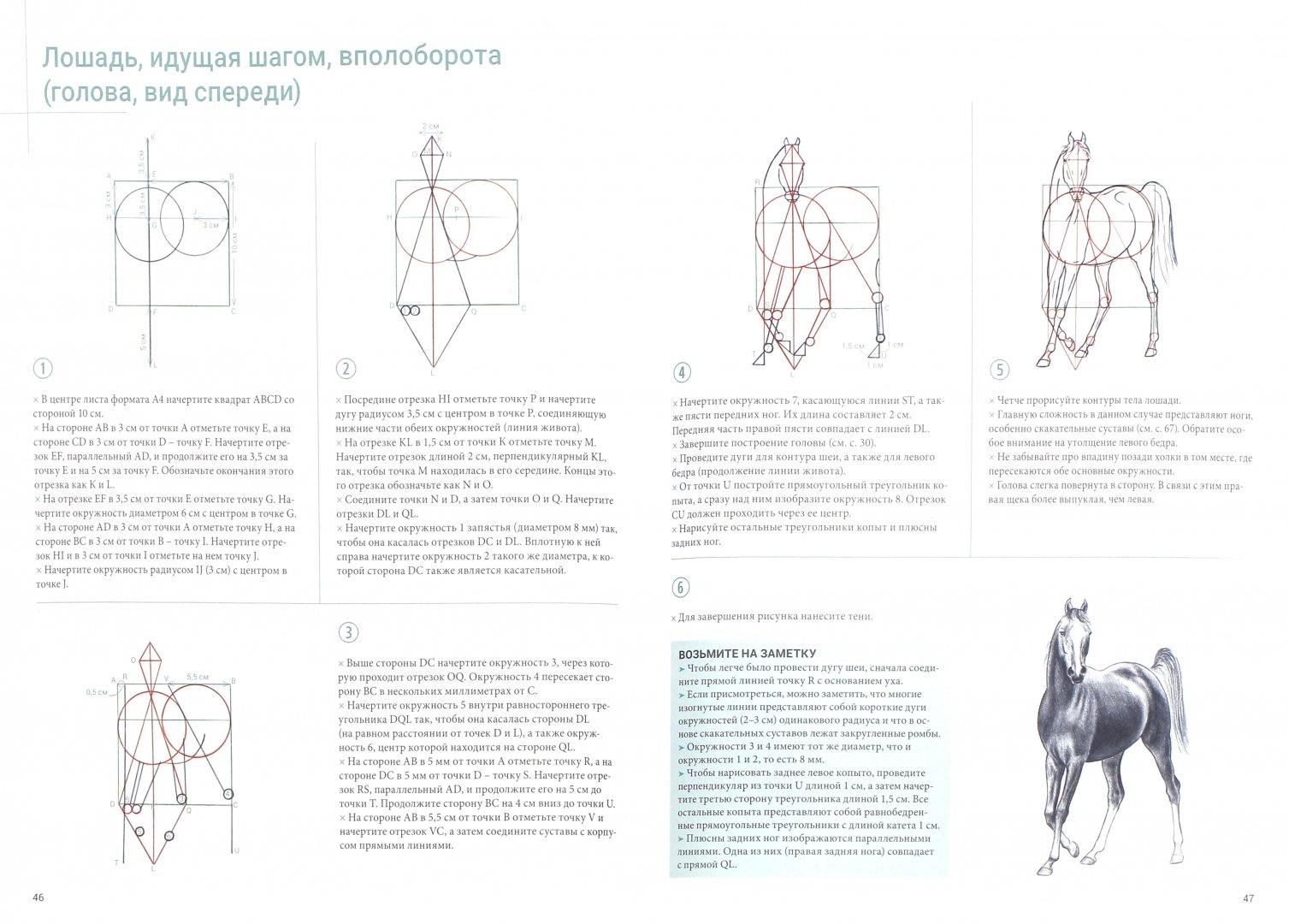 Иллюстрация 1 из 7 для Рисуем лошадей - Мари-Одиль Колатрелла | Лабиринт - книги. Источник: Лабиринт