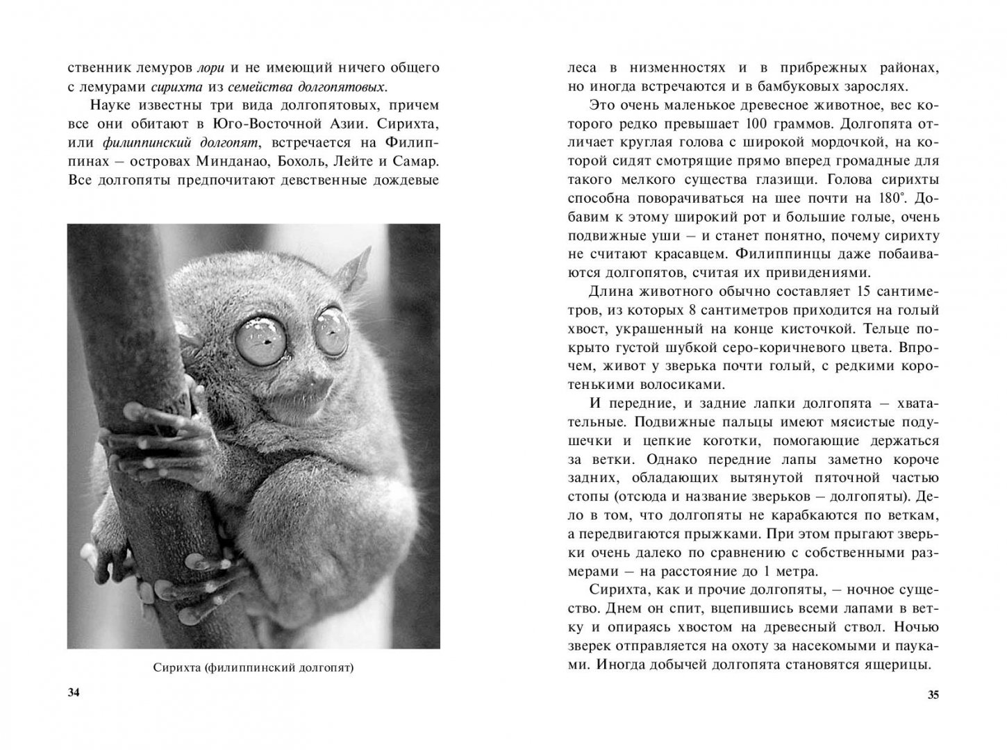 Иллюстрация 8 из 10 для Самые необычные животные - Дмитрий Бердышев | Лабиринт - книги. Источник: Лабиринт