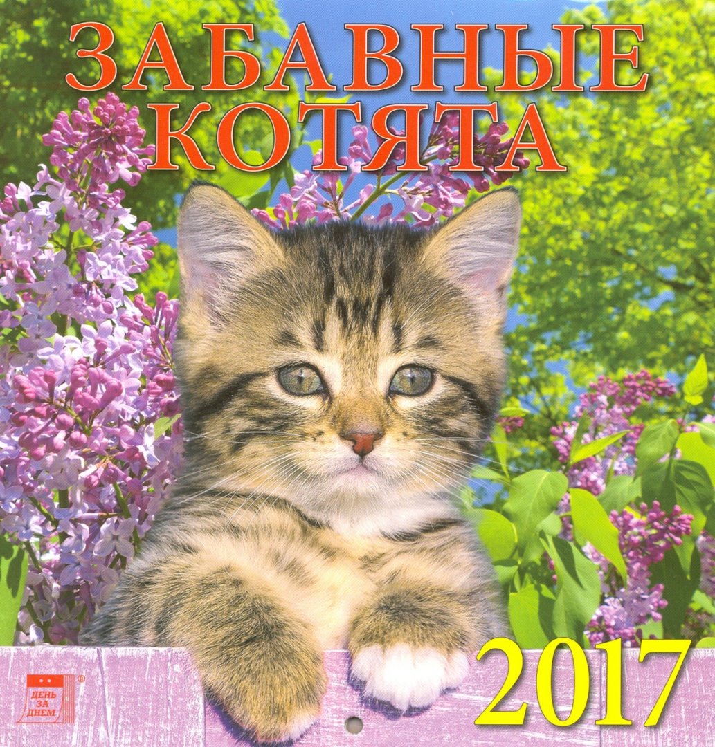 Иллюстрация 1 из 12 для Календарь на 2017 год "Забавные котята" (30705) | Лабиринт - сувениры. Источник: Лабиринт