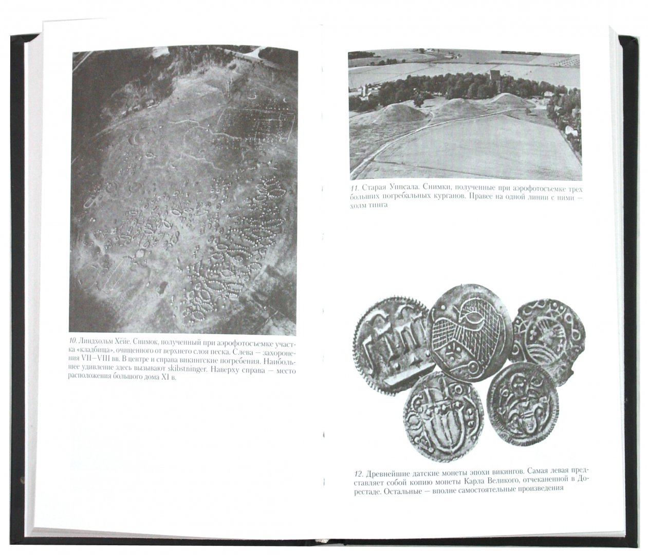 Иллюстрация 1 из 22 для Викинги. Потомки Одина и Тора - Гвин Джонс | Лабиринт - книги. Источник: Лабиринт