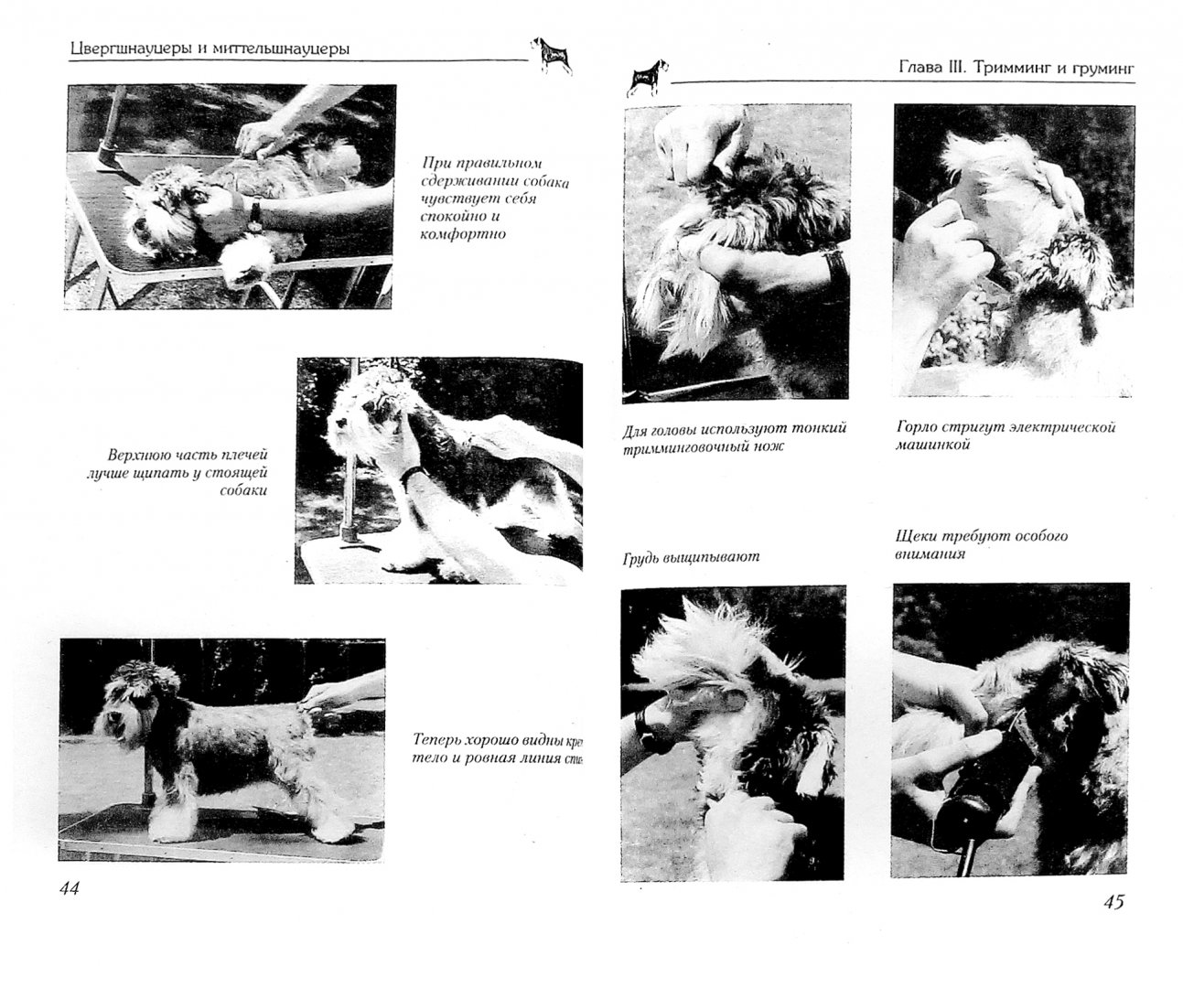 Иллюстрация 1 из 25 для Цвергшнауцеры и миттельшнауцеры. Смелость и задор - Питер Ньюман | Лабиринт - книги. Источник: Лабиринт