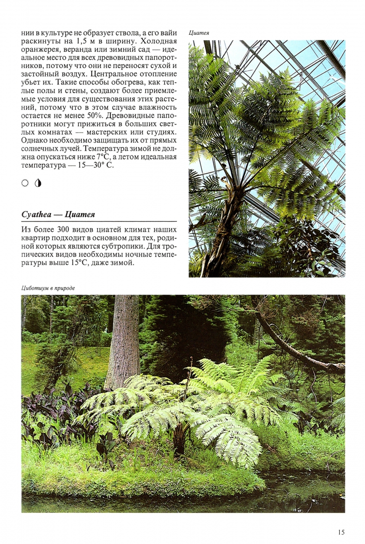 Иллюстрация 8 из 48 для Комнатные растения - Нико Вермейлен | Лабиринт - книги. Источник: Лабиринт