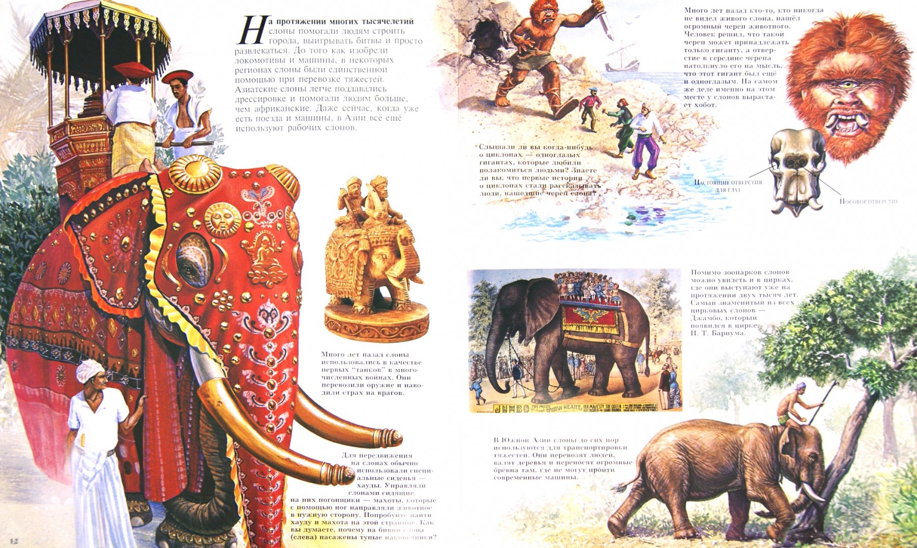 Книга слоновые