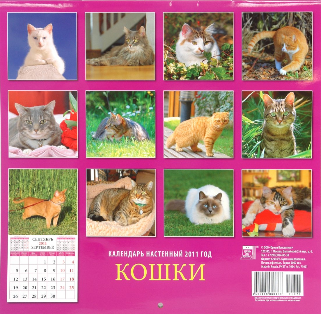Иллюстрация 1 из 13 для Календарь настенный 2011 год. "Кошки" (71021) | Лабиринт - сувениры. Источник: Лабиринт